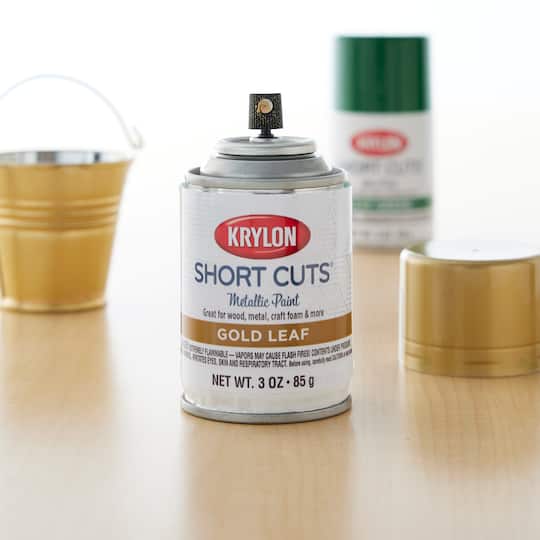 Krylon® Short Cuts® Gloss Enamel